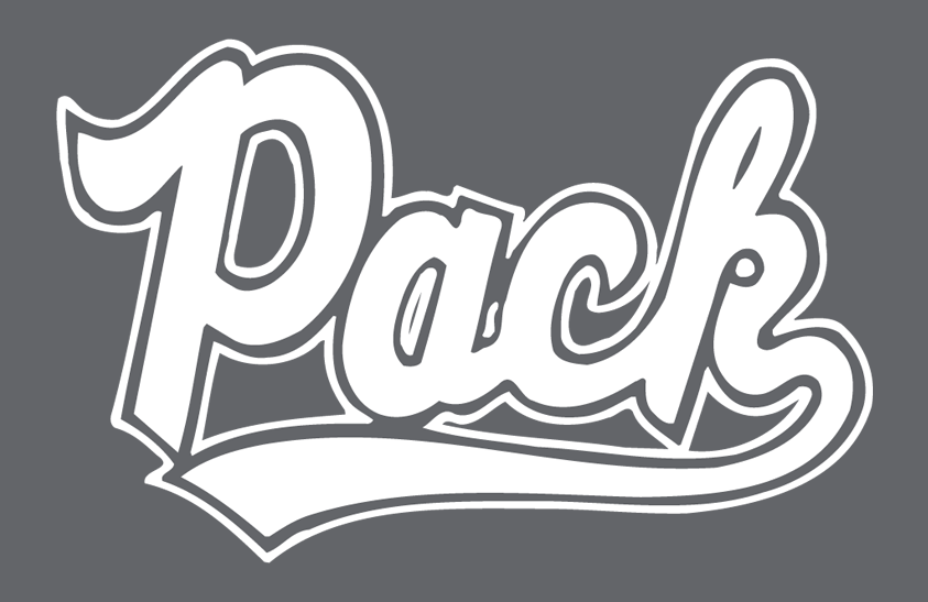 Nevada Wolf Pack 2018-2019 Helmet Logo diy iron on heat transfer